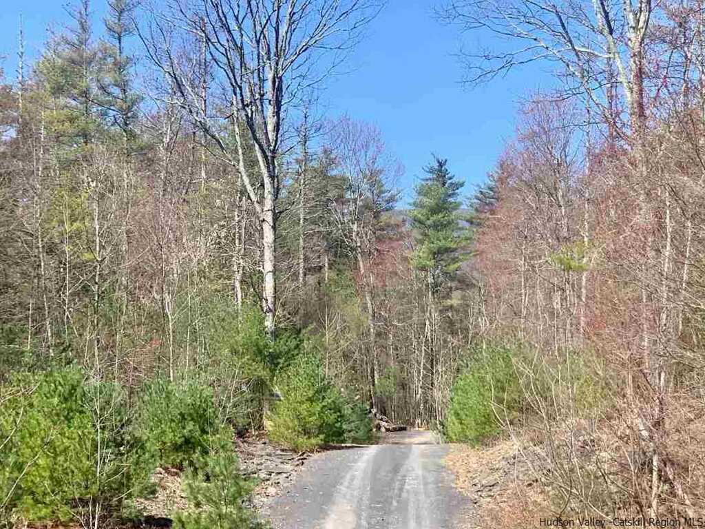 78 Diamond Court, Saugerties, NY 12477 - Photo 13 of 25