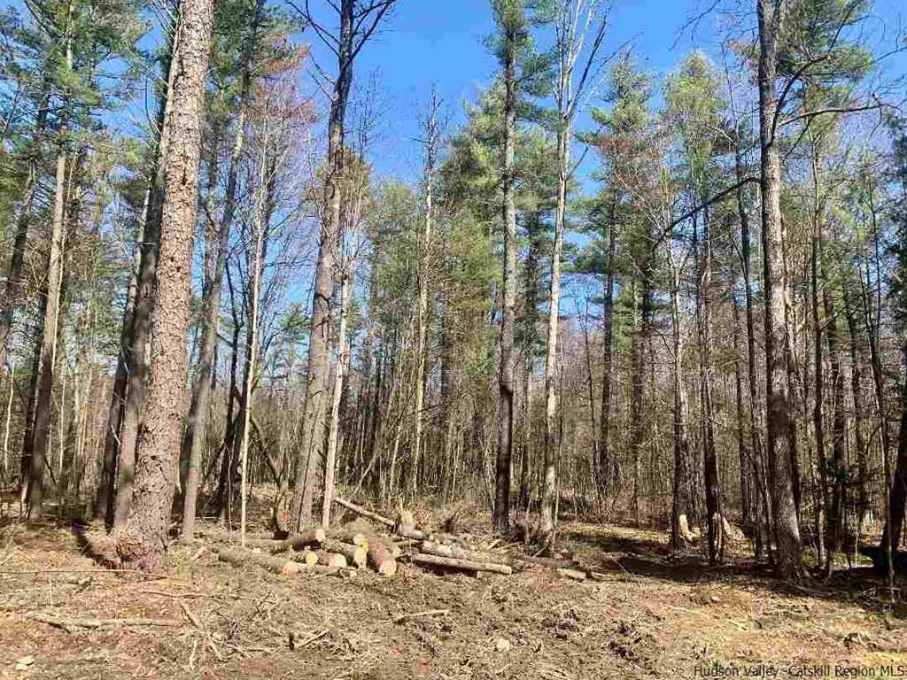 78 Diamond Court, Saugerties, NY 12477 - Photo 14 of 25