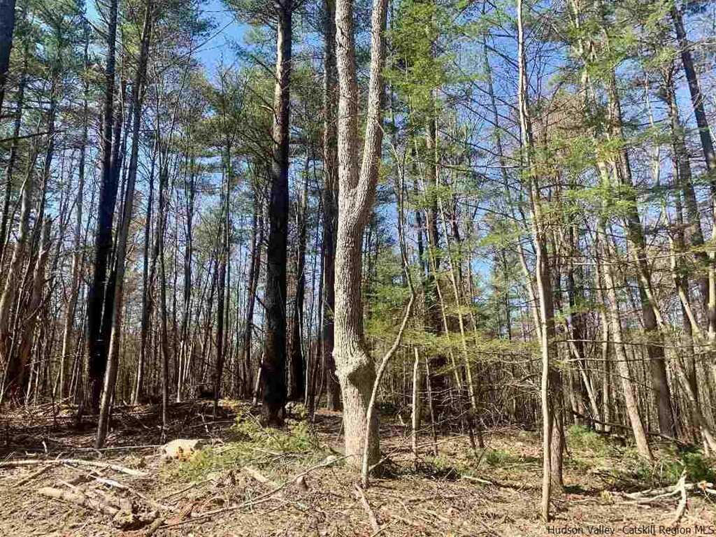 78 Diamond Court, Saugerties, NY 12477 - Photo 15 of 25