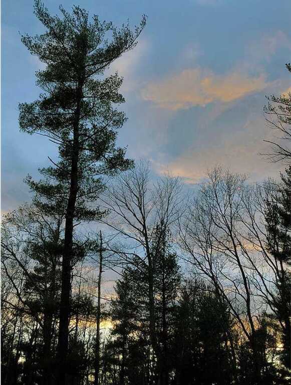 78 Diamond Court, Saugerties, NY 12477 - Photo 19 of 25