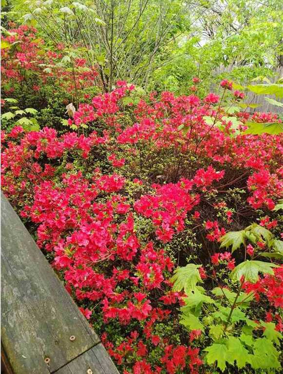 93 Hoffman Street, Kingston, NY 12401 - Photo 6 of 9