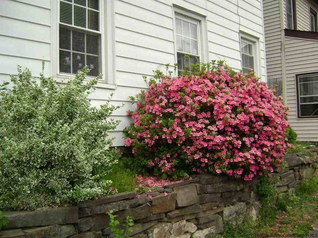 91 Spring And Street, Kingston, NY 12401 - Photo 4 of 29