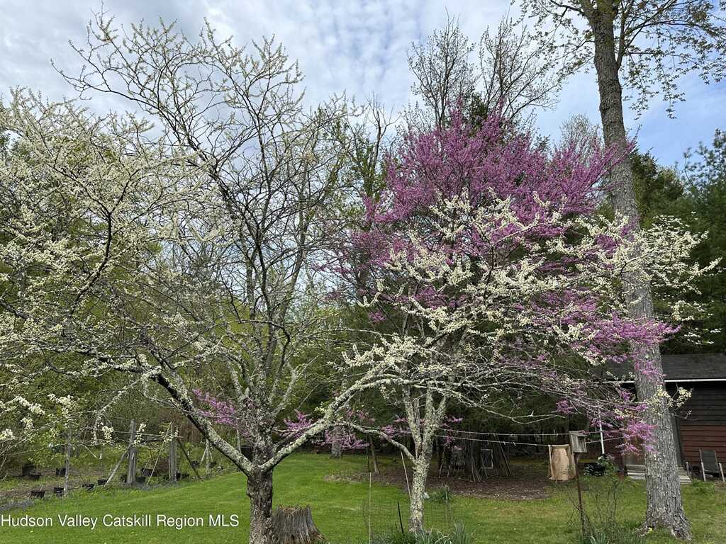 2366 Glasco Turnpike, Woodstock, NY 12498 - Photo 21 of 41
