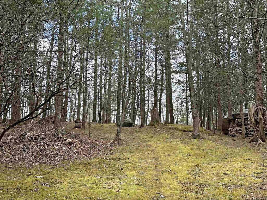 2366 Glasco Turnpike, Woodstock, NY 12498 - Photo 22 of 41