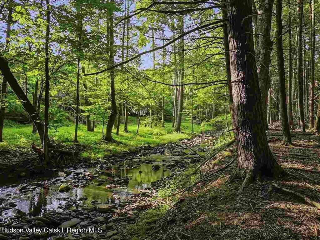 70 Raybrook Drive, Woodstock, NY 12498 - Photo 42 of 46