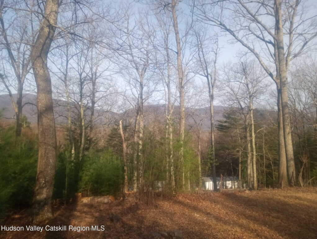 83 Buffalo Road, Saugerties, NY 12477 - Photo 16 of 18