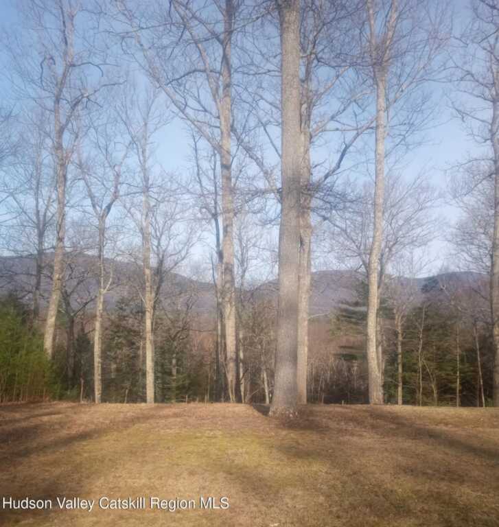 83 Buffalo Road, Saugerties, NY 12477 - Photo 17 of 18