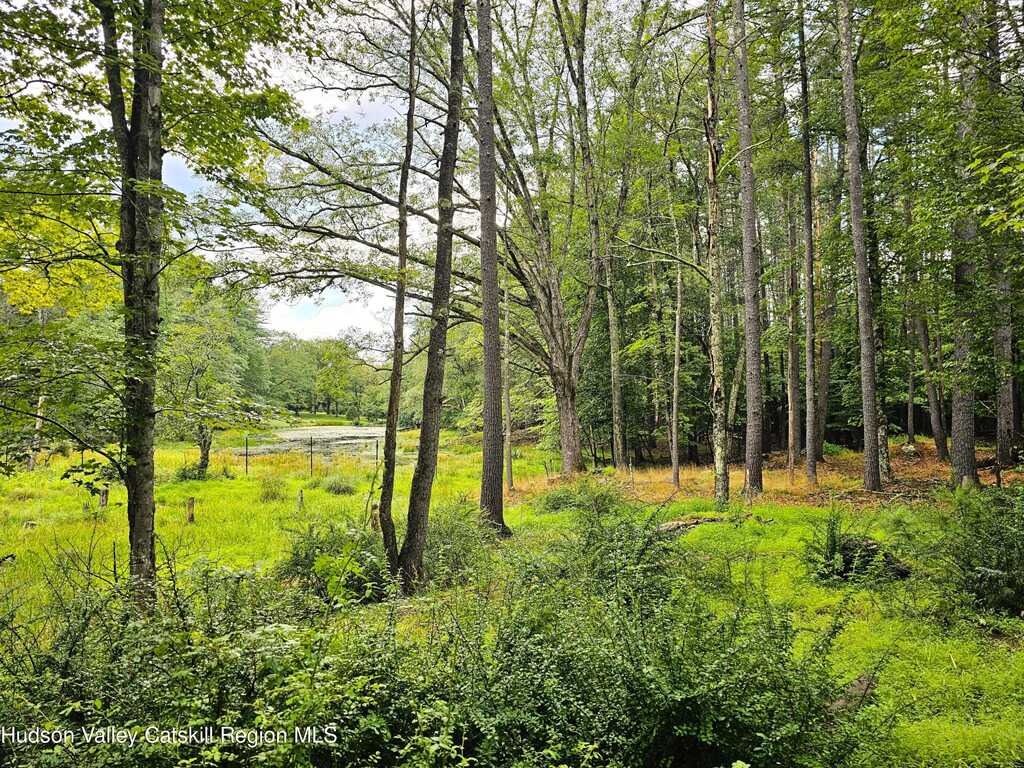 272 Yerry Hill Road, Unit #Studio, Woodstock, NY 12498 - Photo 2 of 29