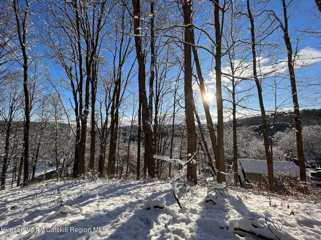 50 School House Lane, Rosendale, NY 12472 - Photo 31 of 32