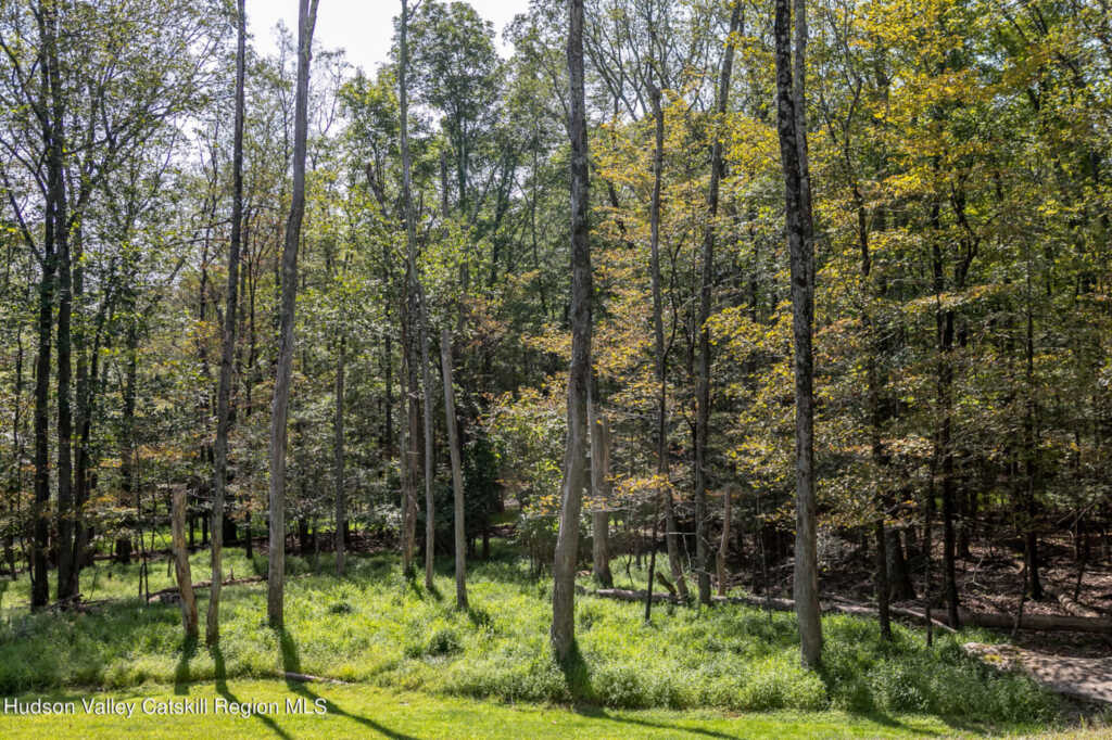 4 Wild Wind Court, Saugerties, NY 12477 - Photo 31 of 32