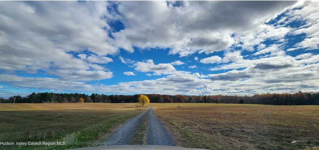 100 Greymouse Road, Saugerties, NY 12477 - Photo 25 of 25