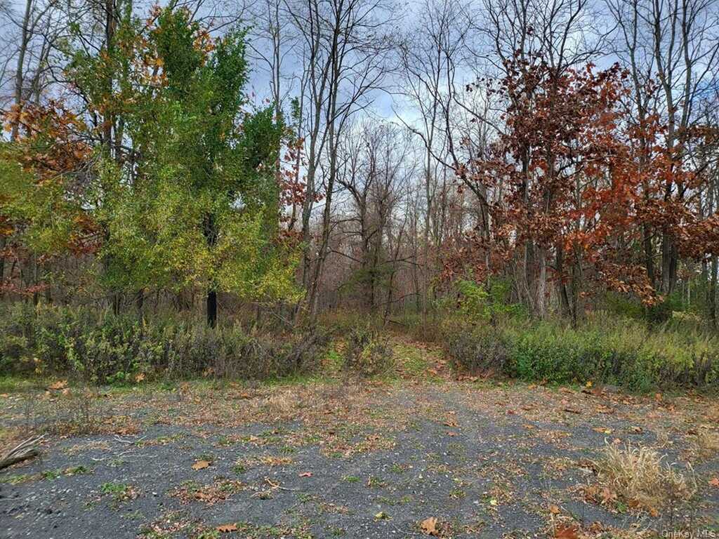 0 Ashley Drive - Lot 4, Rosendale, NY 12472 - Photo 4 of 7