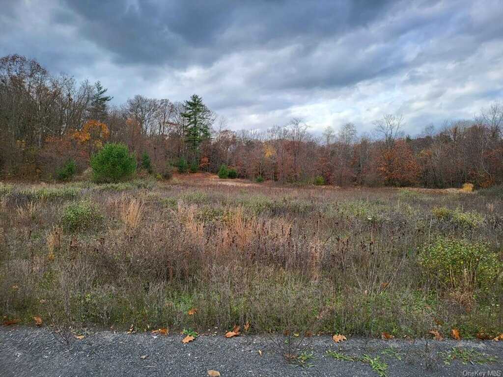 0 Ashley Drive - Lot 4, Rosendale, NY 12472 - Photo 5 of 7