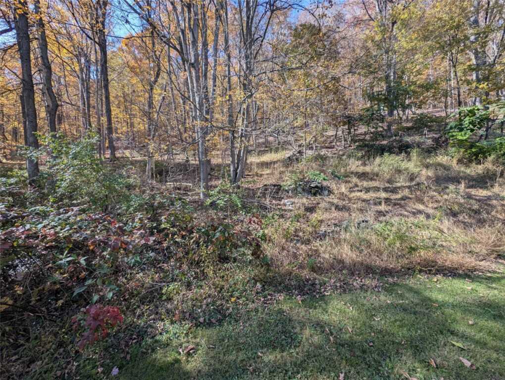 621 Milan Hollow Road, Rhinebeck, NY 12572 - Photo 21 of 29