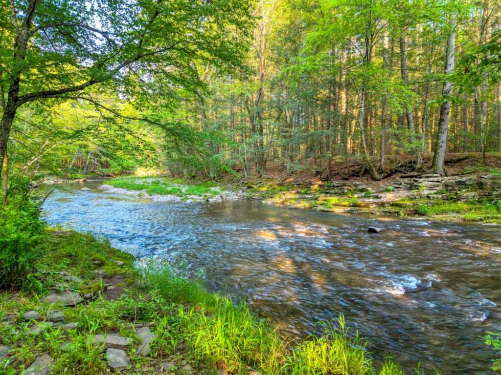 2565 Route 212, Woodstock, NY 12498 - Photo 49 of 50