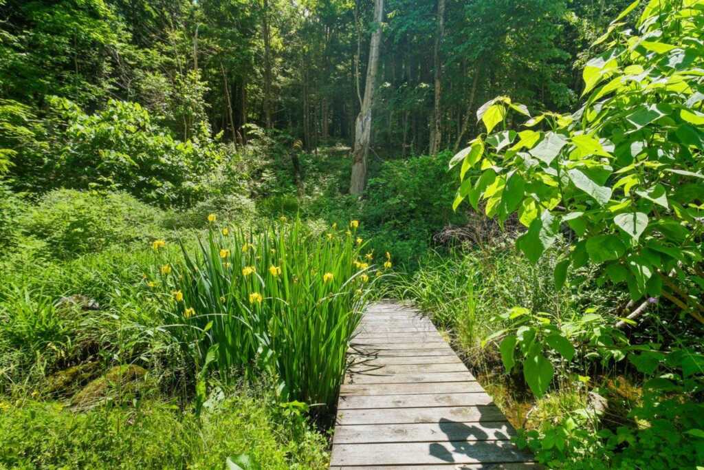 347 Hickory Bush Road, Kingston, NY 12401 - Photo 4 of 47