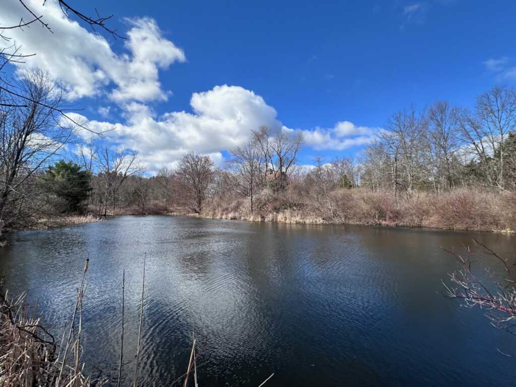 24 Rivka Road, Saugerties, NY 12477 - Photo 27 of 27