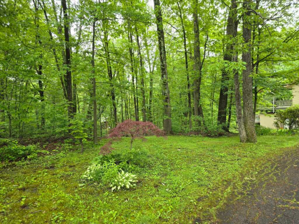 51 Glenerie Lane, Saugerties, NY 12477 - Photo 39 of 40