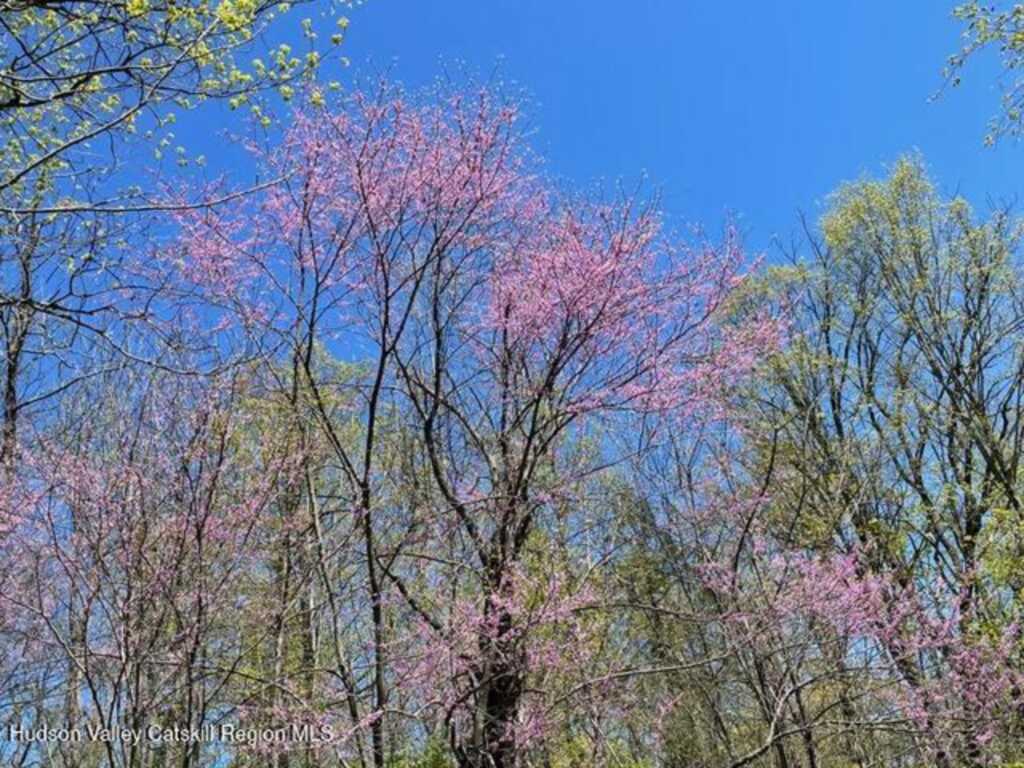 592 County Route 6, High Falls, NY 12440 - Photo 42 of 48