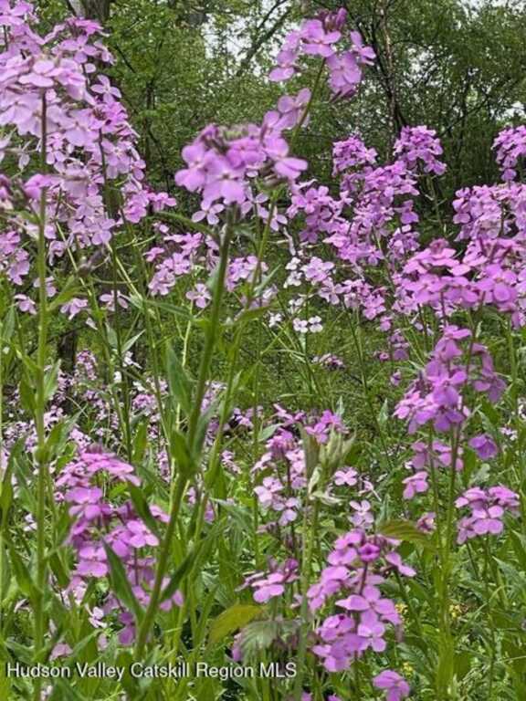592 County Route 6, High Falls, NY 12440 - Photo 45 of 48