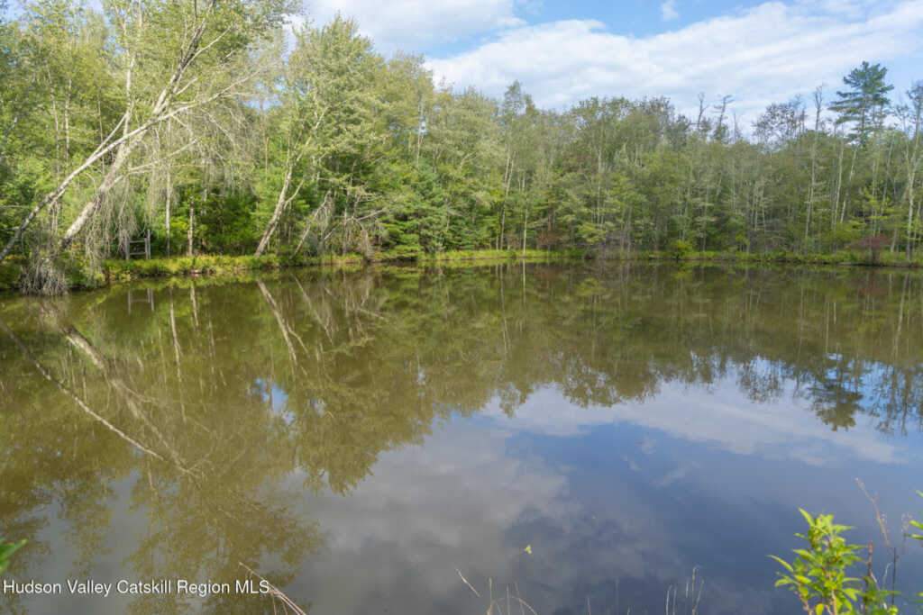 14 Wardwell Lane, Woodstock, NY 12498 - Photo 37 of 44