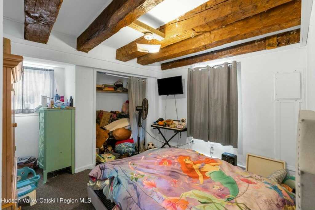 234 State Route 32, New Paltz, NY 12561 - Photo 4 of 8
