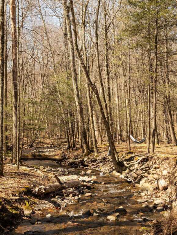 241 Silver Hollow Road, Woodstock, NY 12495 - Photo 29 of 30