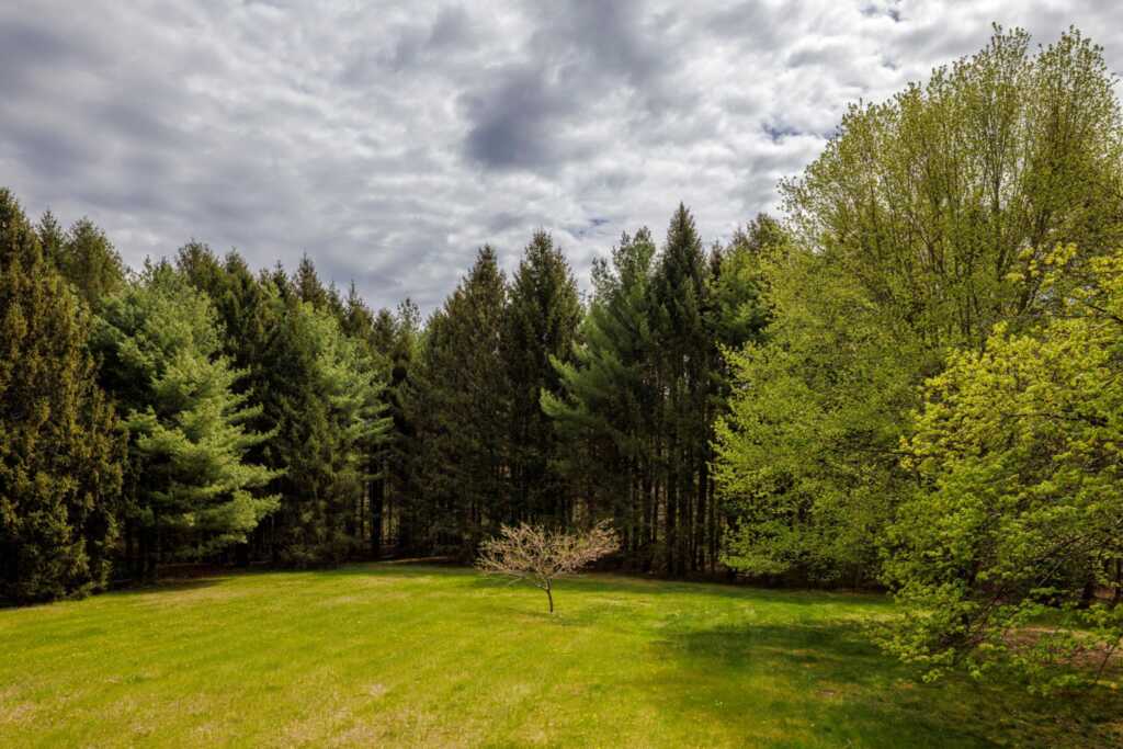 599 Old Wurtemburg Road, Rhinebeck, NY 12572 - Photo 24 of 27