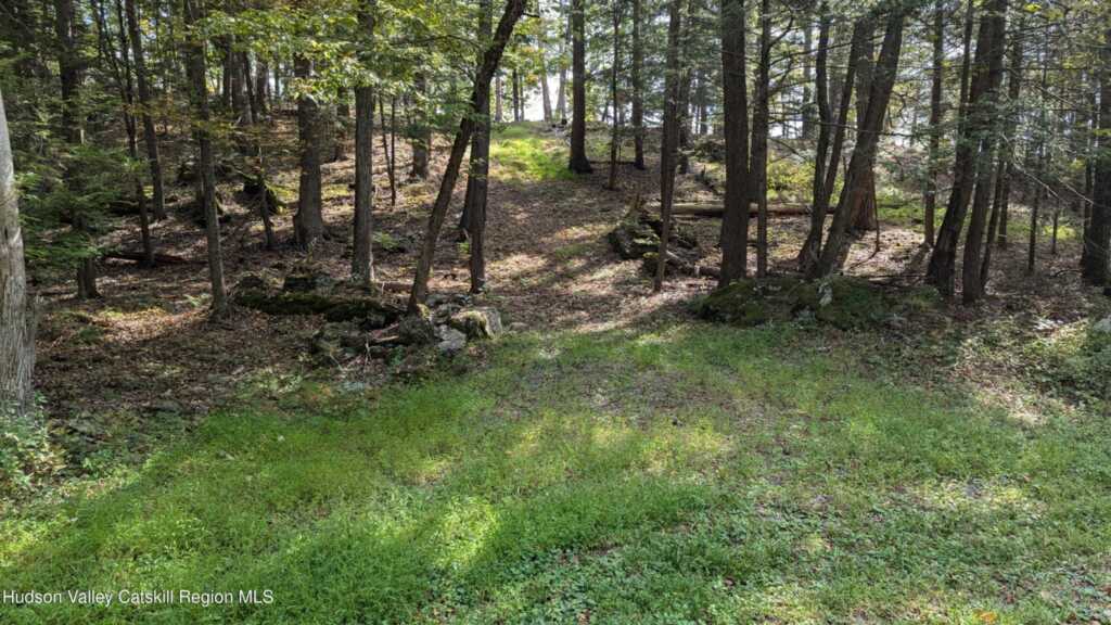 Tbd Hickory Bush Rd Road, Kingston, NY 12401