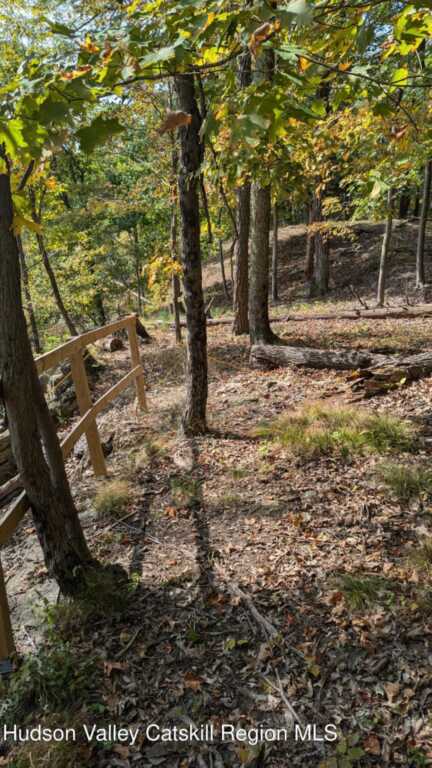 Tbd Hickory Bush Rd Road, Kingston, NY 12401 - Photo 10 of 11