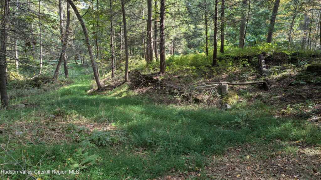 Tbd Hickory Bush Rd Road, Kingston, NY 12401 - Photo 2 of 11