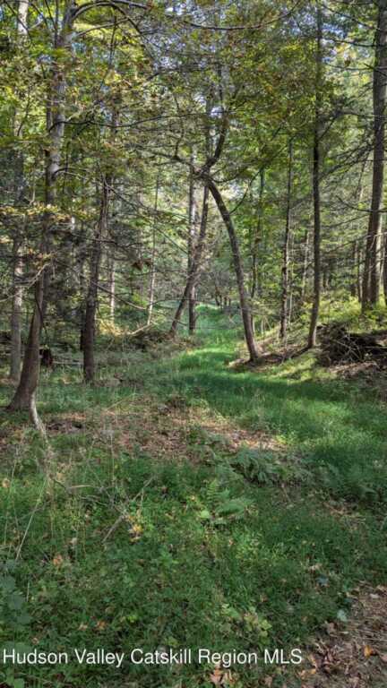 Tbd Hickory Bush Rd Road, Kingston, NY 12401 - Photo 3 of 11