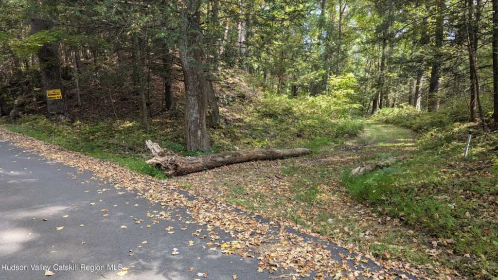 Tbd Hickory Bush Rd Road, Kingston, NY 12401 - Photo 5 of 11