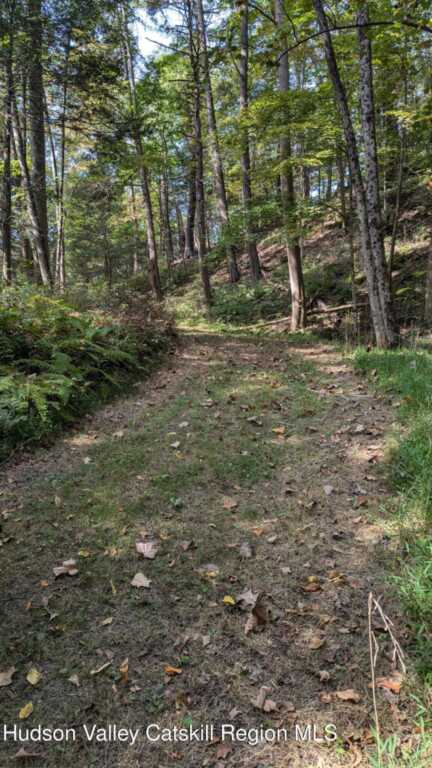Tbd Hickory Bush Rd Road, Kingston, NY 12401 - Photo 6 of 11