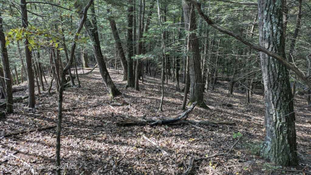 Tbd Hickory Bush Rd Road, Kingston, NY 12401 - Photo 7 of 11