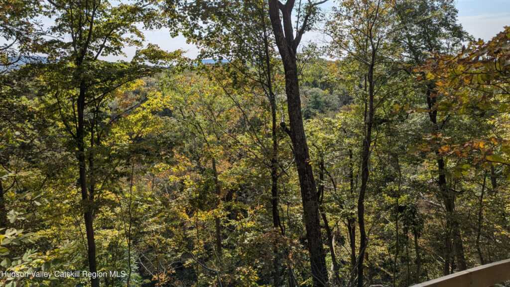 Tbd Hickory Bush Rd Road, Kingston, NY 12401 - Photo 8 of 11
