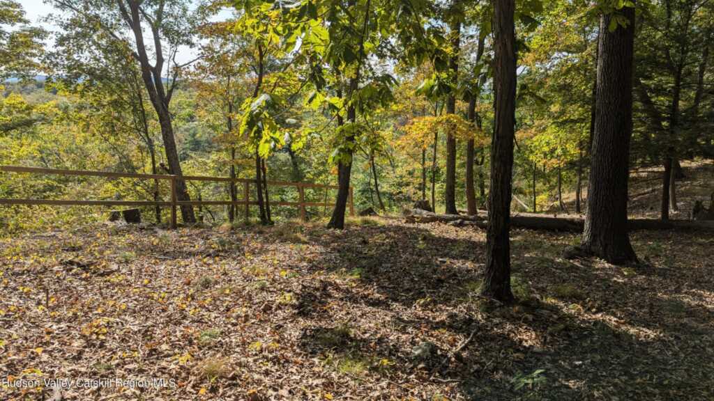 Tbd Hickory Bush Rd Road, Kingston, NY 12401 - Photo 9 of 11