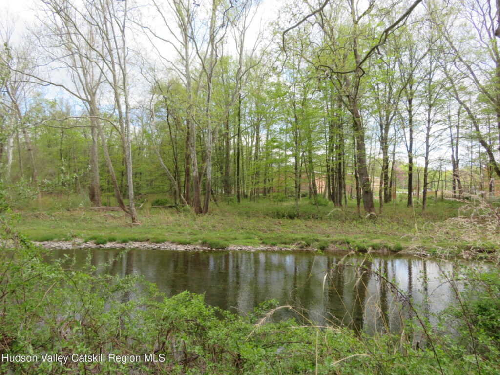 23 Cottonwood Lane, Woodstock, NY 12498 - Photo 4 of 33