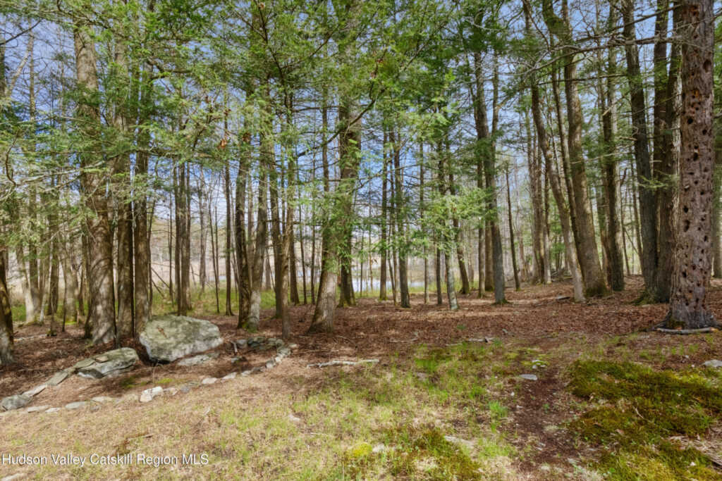 144 John Carle Road, Saugerties, NY 12477 - Photo 36 of 41