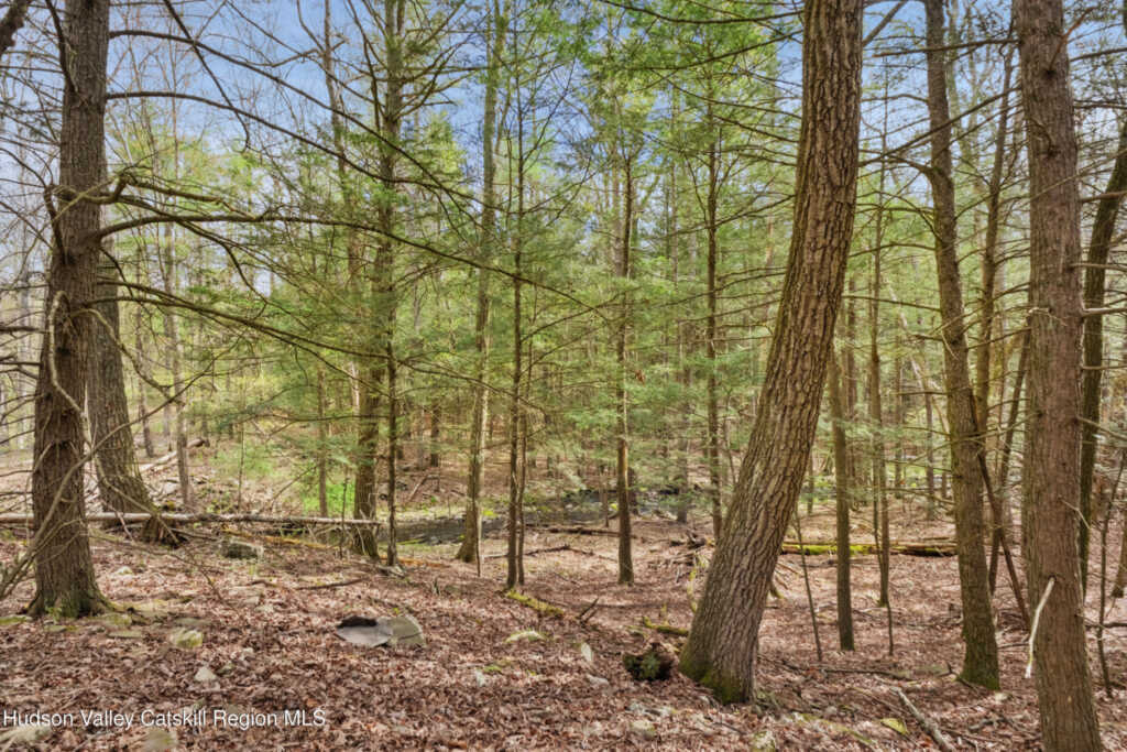 144 John Carle Road, Saugerties, NY 12477 - Photo 37 of 41