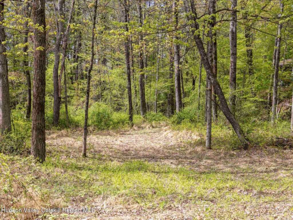 3639 Atwood Road, Stone Ridge, NY 12484 - Photo 30 of 31