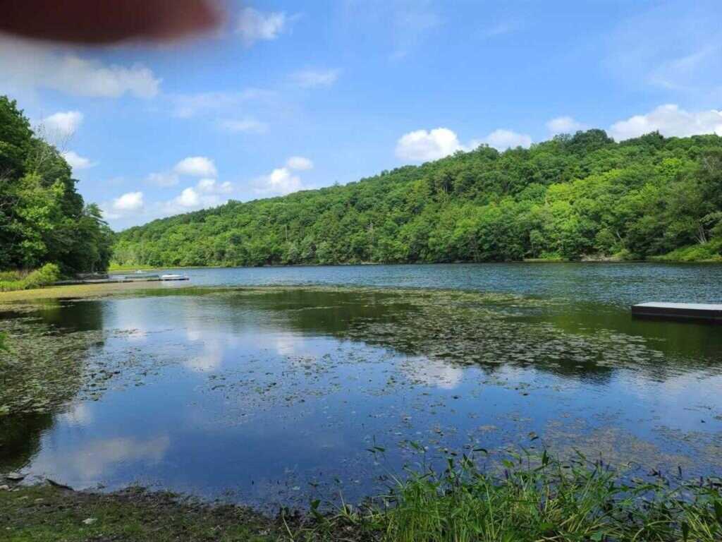 956 Route 308, Rhinebeck, NY 12572 - Photo 2 of 18