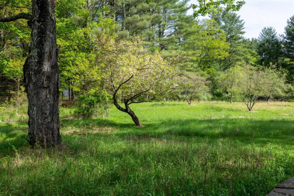 11 Louie Way, Woodstock, NY 12498 - Photo 24 of 39