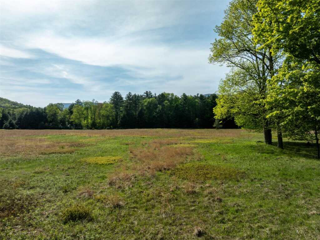 11 Louie Way, Woodstock, NY 12498 - Photo 36 of 39
