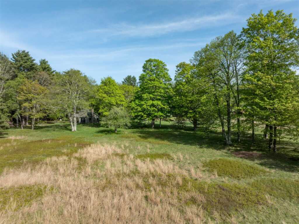 11 Louie Way, Woodstock, NY 12498 - Photo 37 of 39