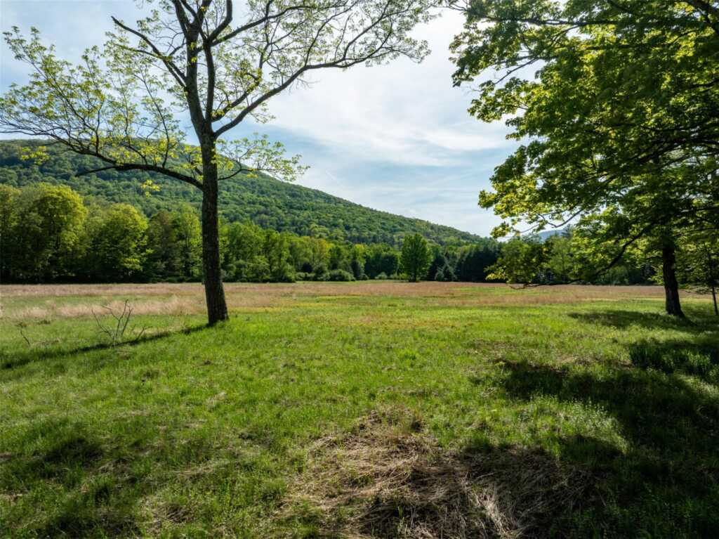 11 Louie Way, Woodstock, NY 12498 - Photo 4 of 39