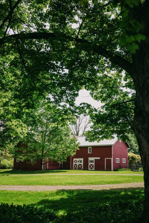 3 Patten Road, Rhinebeck, NY 12572 - Photo 36 of 45