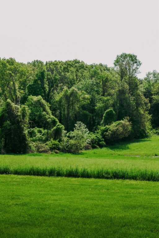 3 Patten Road, Rhinebeck, NY 12572 - Photo 7 of 45