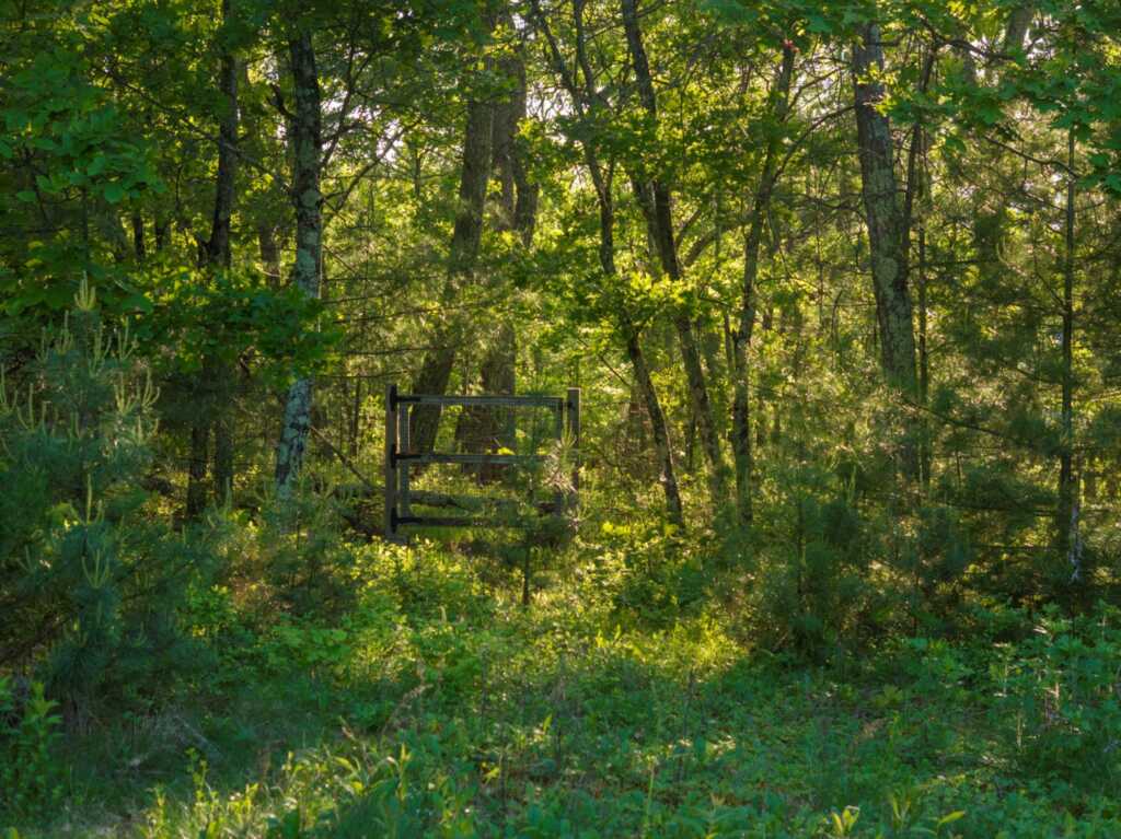 1401 State Route 28A, Hurley, NY 12491 - Photo 35 of 43