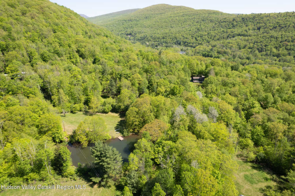 148 Ed West Road, Phoenicia, NY 12464 - Photo 15 of 17